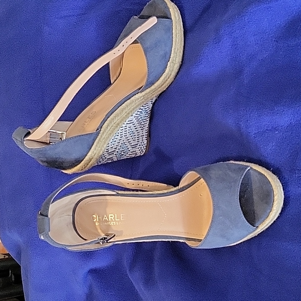 CHARLES by CHARLES DAVID Wedge Heeled Sandals